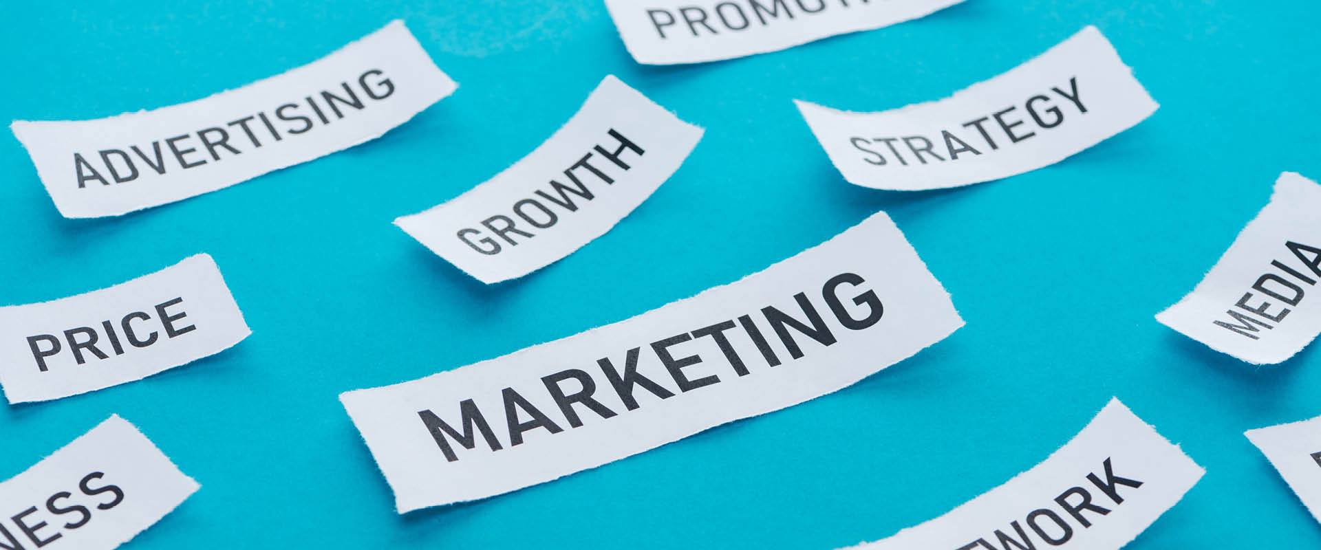 Practice marketing: 5 ways team members can get involved