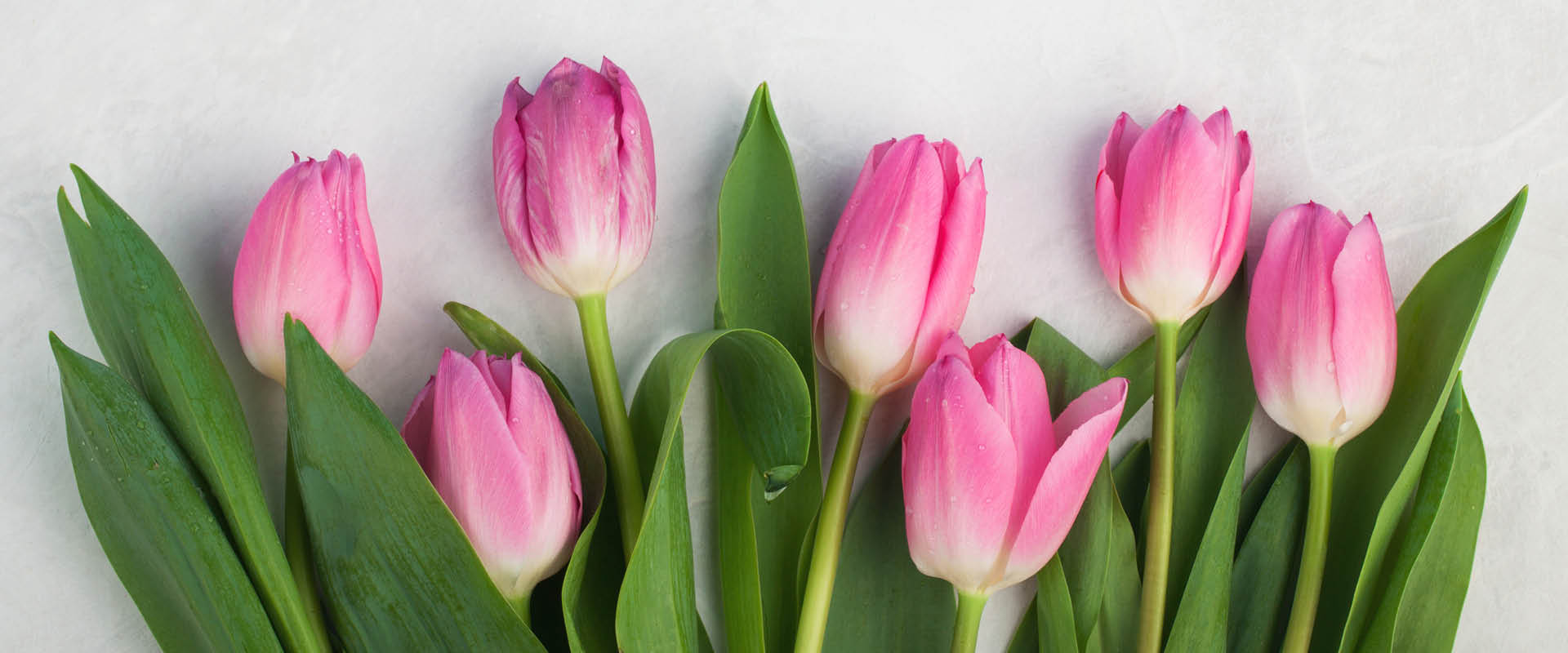 Spring is the time for New Beginnings with your Patients